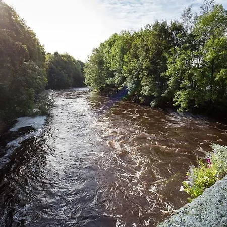 Kemping Market Street Shepherd's Hut Leitrim *
