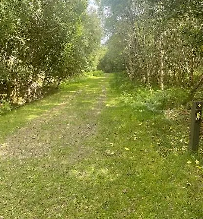 Market Street Shepherd's Hut Leitrim * Dromahair