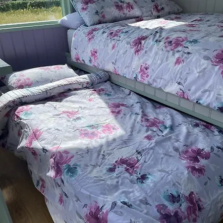 Market Street Shepherd's Hut Leitrim *