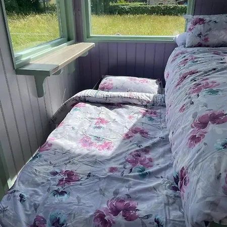 Market Street Shepherd's Hut Leitrim